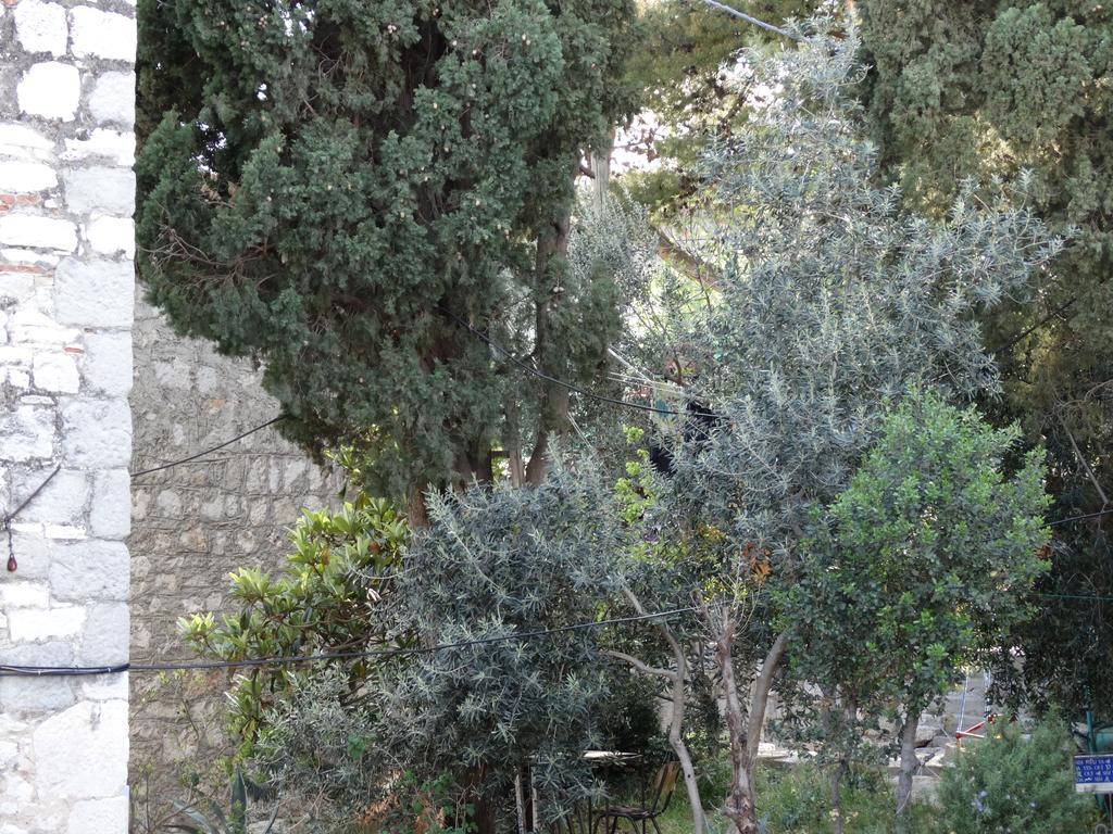 Appartement Marileo *